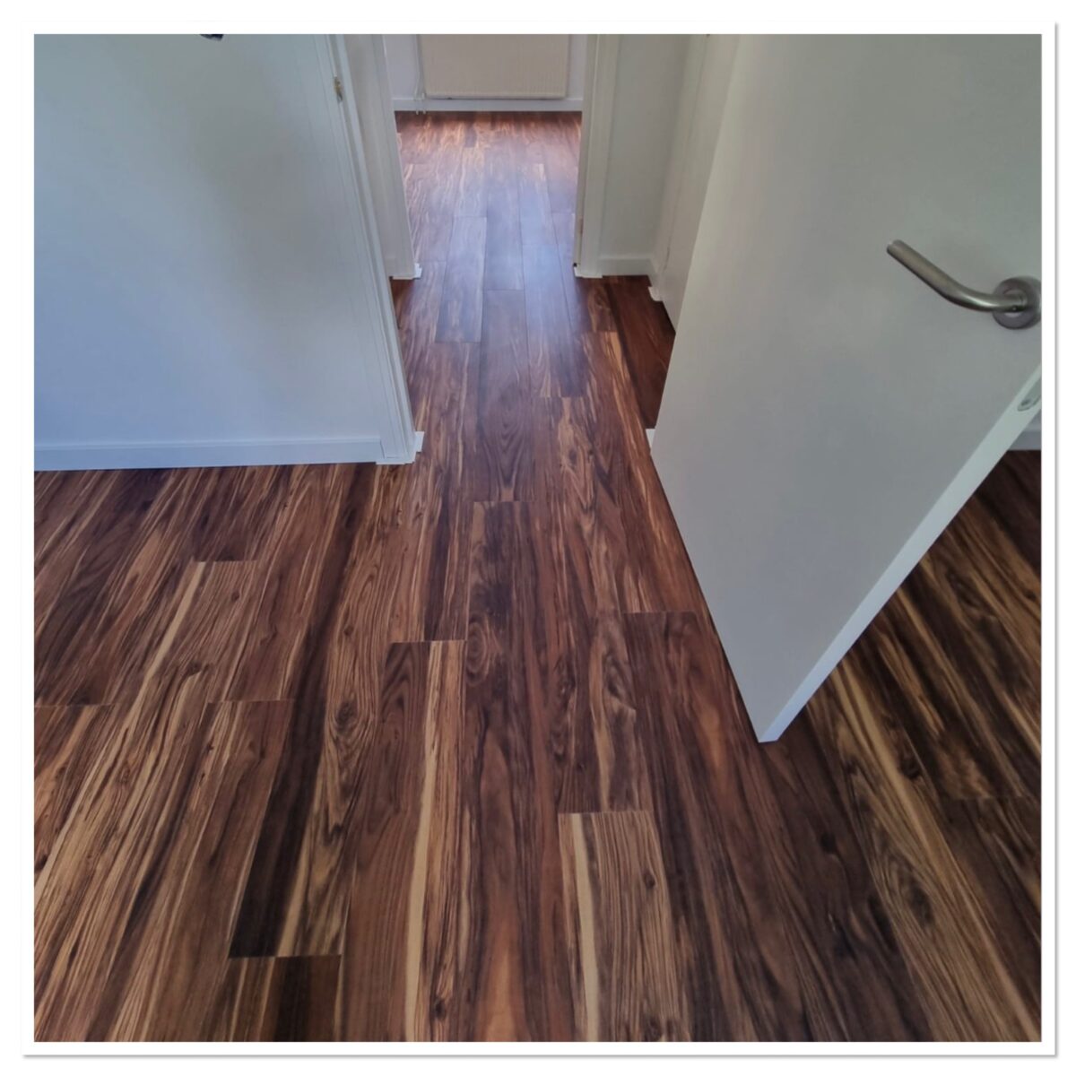 Walnut America