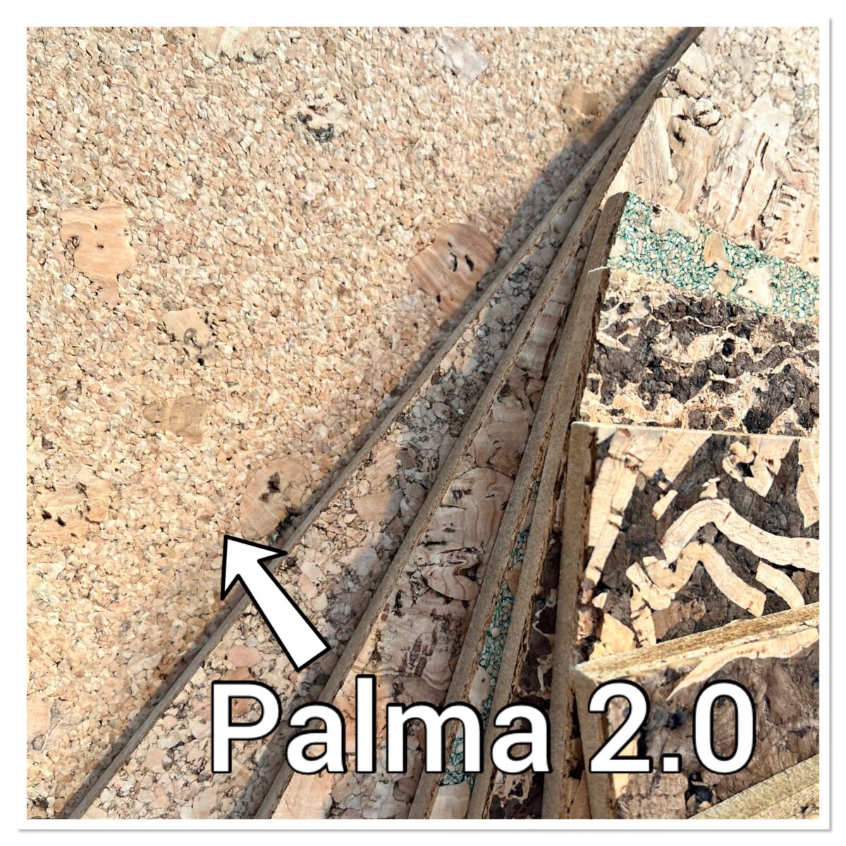 Palma 2.0
