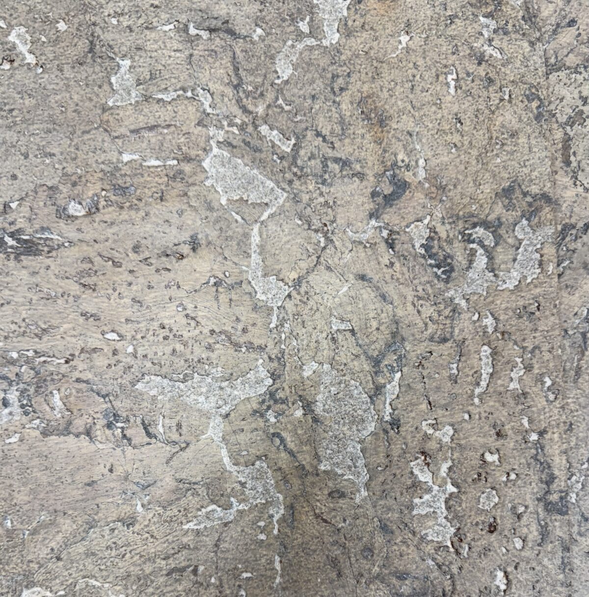 Virgin Silver