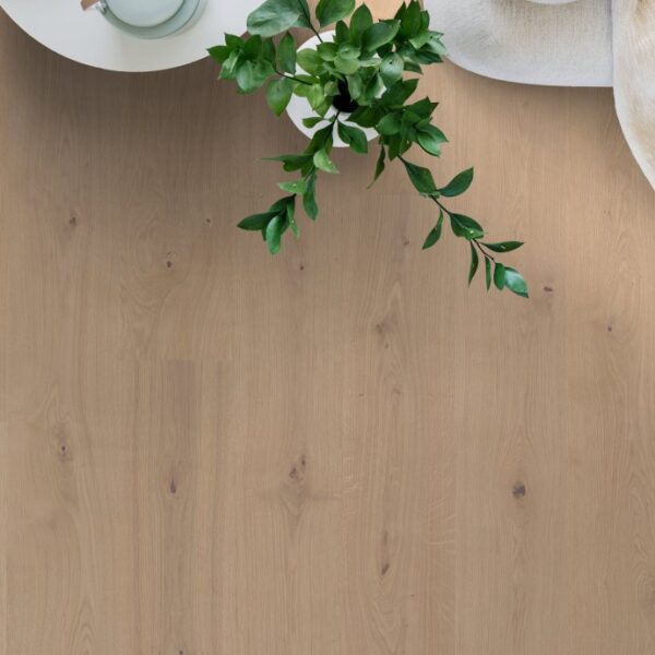 dolomit oak sand