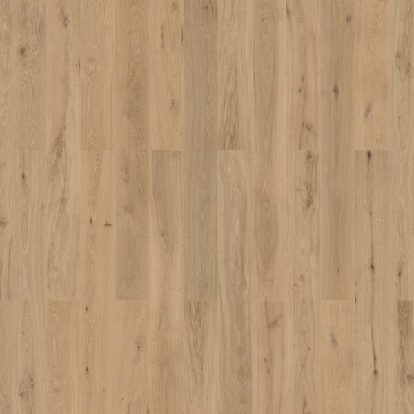 Natural Oak Almond