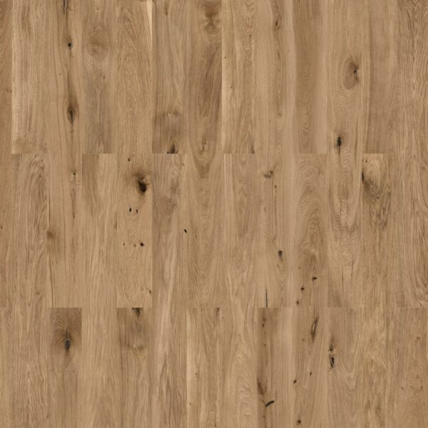 Panama_Oak_Cognac